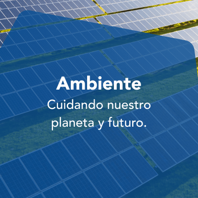 Ambiente 400×400 1